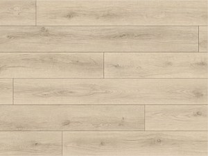 Paradigm Conquest Shield 9 x 72